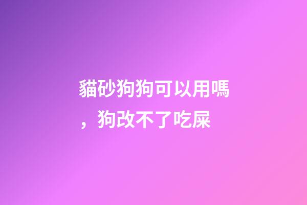 貓砂狗狗可以用嗎，狗改不了吃屎-第1張-觀點-玄機派