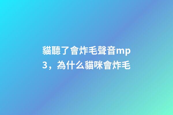 貓聽了會炸毛聲音mp3，為什么貓咪會炸毛-第1張-觀點-玄機派