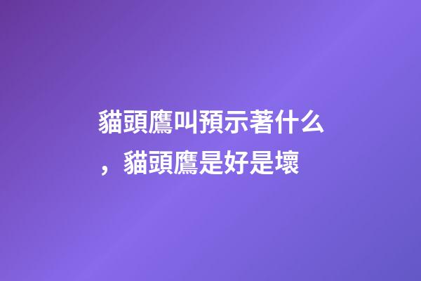 貓頭鷹叫預示著什么，貓頭鷹是好是壞