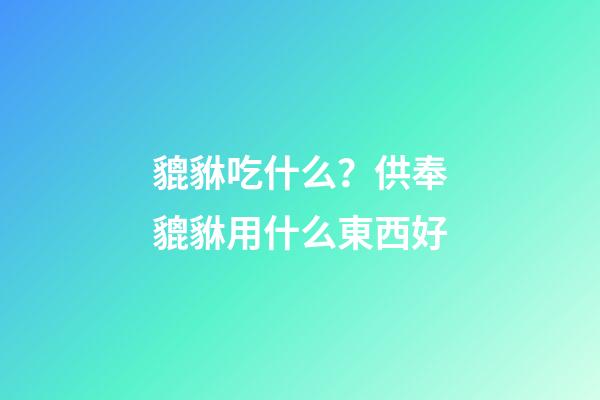 貔貅吃什么？供奉貔貅用什么東西好
