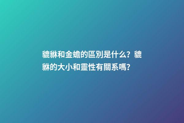 貔貅和金蟾的區別是什么？貔貅的大小和靈性有關系嗎？