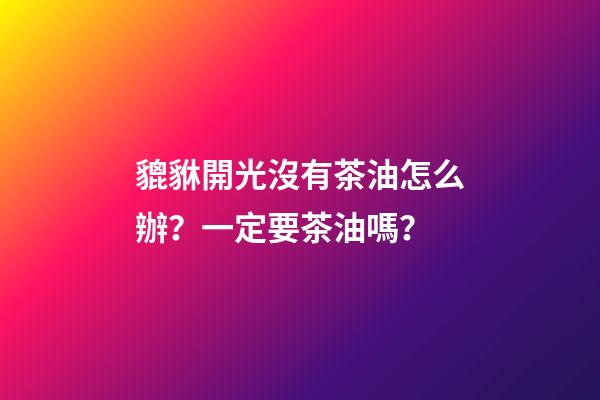 貔貅開光沒有茶油怎么辦？一定要茶油嗎？