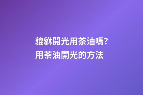 貔貅開光用茶油嗎？用茶油開光的方法