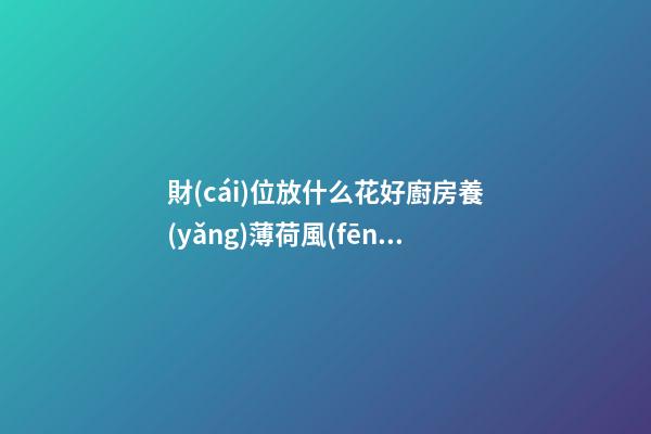 財(cái)位放什么花好廚房養(yǎng)薄荷風(fēng)水
