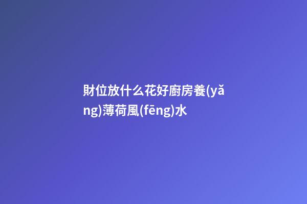 財位放什么花好廚房養(yǎng)薄荷風(fēng)水