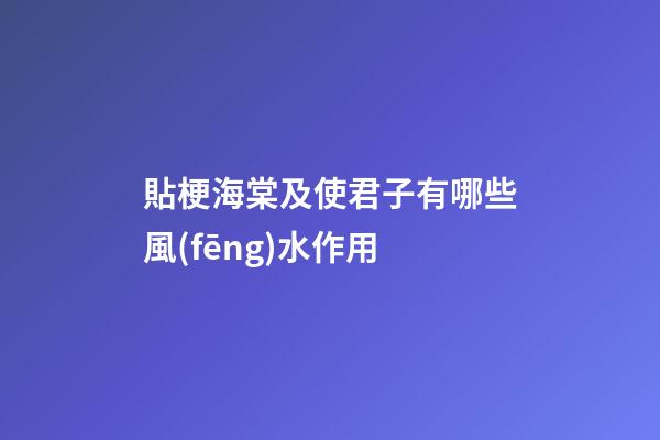 貼梗海棠及使君子有哪些風(fēng)水作用?