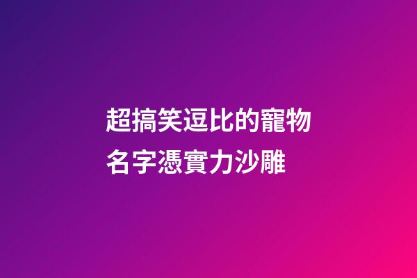 超搞笑逗比的寵物名字憑實力沙雕