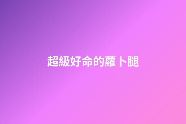 超級好命的蘿卜腿