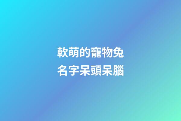 軟萌的寵物兔名字呆頭呆腦