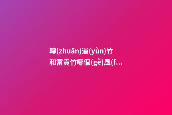 轉(zhuǎn)運(yùn)竹和富貴竹哪個(gè)風(fēng)水更好，擺放竹子的講究