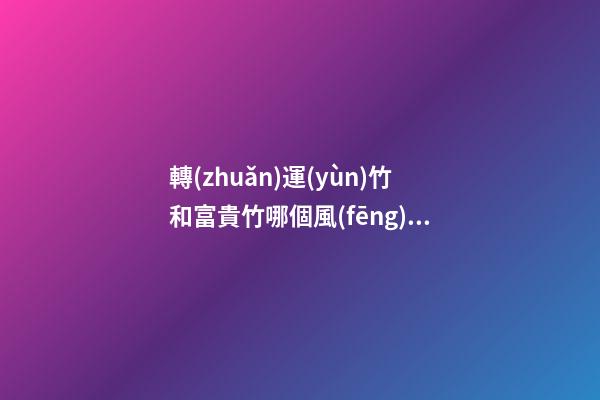 轉(zhuǎn)運(yùn)竹和富貴竹哪個風(fēng)水更好，擺放竹子的講究