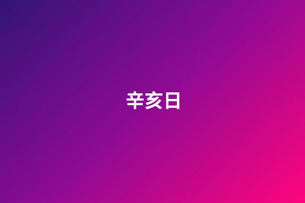 辛亥日