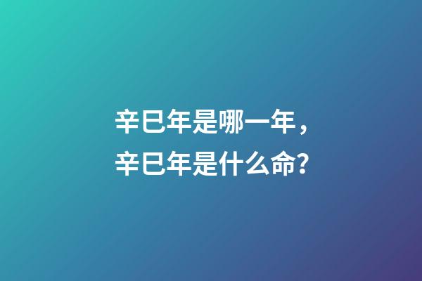 辛巳年是哪一年，辛巳年是什么命？