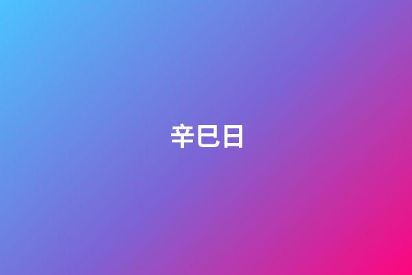 辛巳日