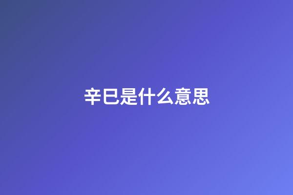 辛巳是什么意思