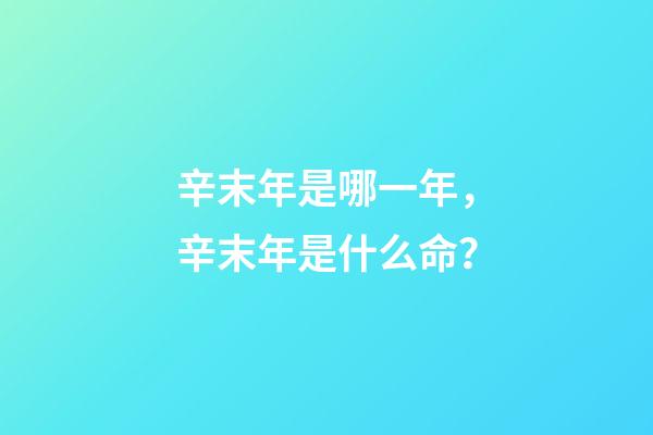 辛末年是哪一年，辛末年是什么命？