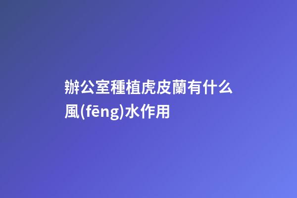 辦公室種植虎皮蘭有什么風(fēng)水作用
