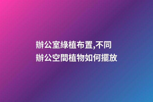 辦公室綠植布置,不同辦公空間植物如何擺放-第1張-觀點(diǎn)-玄機(jī)派
