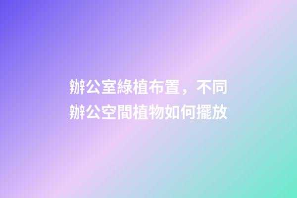 辦公室綠植布置，不同辦公空間植物如何擺放-第1張-觀點(diǎn)-玄機(jī)派
