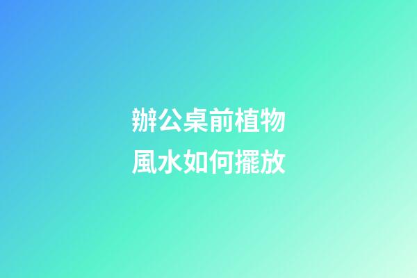 辦公桌前植物風水如何擺放