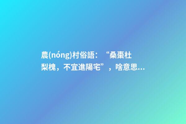 農(nóng)村俗語：“桑棗杜梨槐，不宜進陽宅”，啥意思？看完明白了