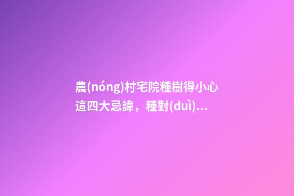 農(nóng)村宅院種樹得小心這四大忌諱，種對(duì)了就能享清福掙大錢！