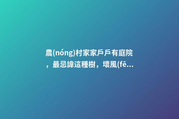 農(nóng)村家家戶戶有庭院，最忌諱這種樹，壞風(fēng)水！你家種了嗎