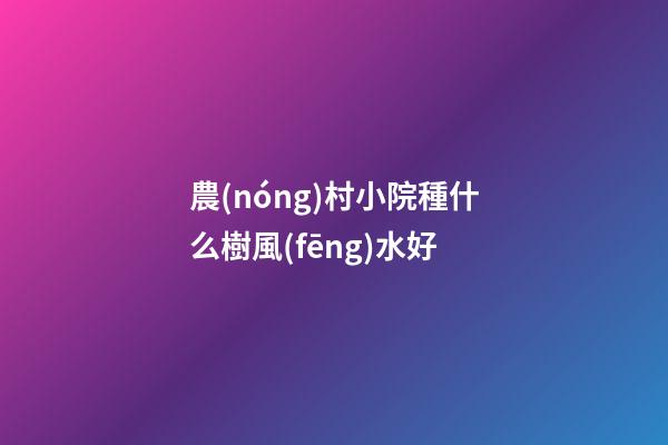 農(nóng)村小院種什么樹風(fēng)水好