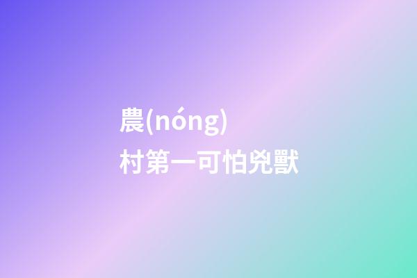 農(nóng)村第一可怕兇獸