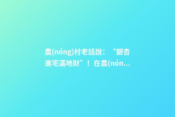 農(nóng)村老話說：“銀杏進宅滿地財”！在農(nóng)村這些樹，可以當(dāng)作鎮(zhèn)宅樹