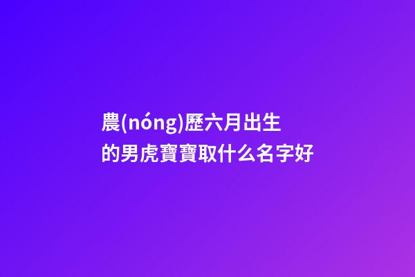 農(nóng)歷六月出生的男虎寶寶取什么名字好(農(nóng)歷6月虎男生人大富大貴)-第1張-男孩起名-玄機(jī)派