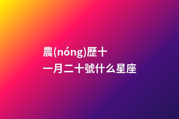 農(nóng)歷十一月二十號什么星座-第1張-星座運勢-玄機派