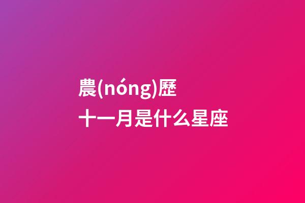 農(nóng)歷十一月是什么星座（唯一管得住射手座的星座）-第1張-星座運(yùn)勢-玄機(jī)派
