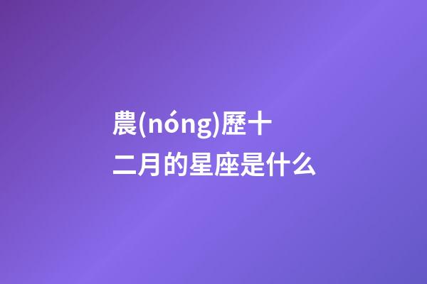 農(nóng)歷十二月的星座是什么-第1張-星座運(yùn)勢(shì)-玄機(jī)派