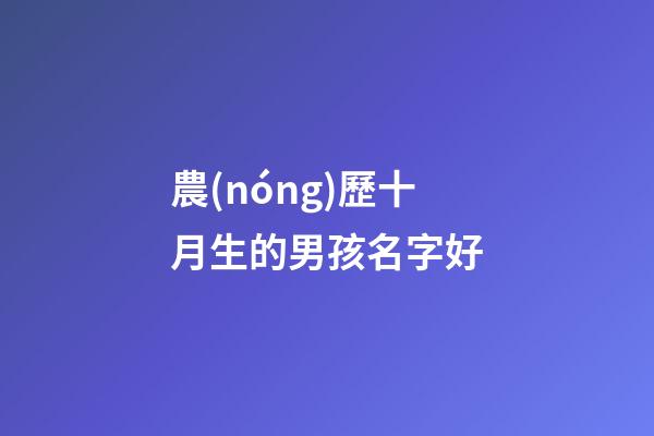 農(nóng)歷十月生的男孩名字好(農(nóng)歷10月生的寶寶名字)-第1張-男孩起名-玄機(jī)派