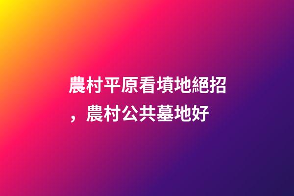 農村平原看墳地絕招，農村公共墓地好-第1張-觀點-玄機派