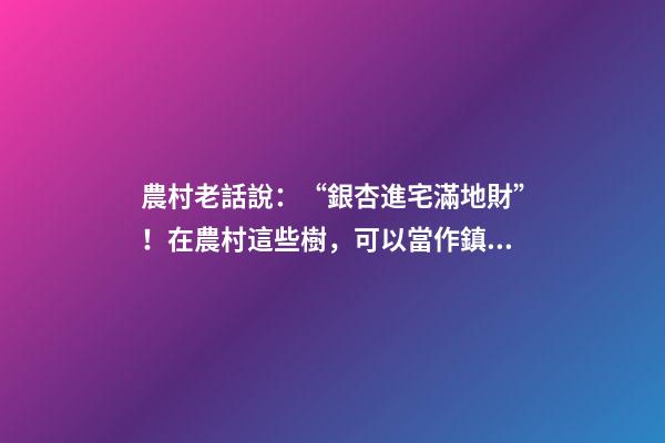 農村老話說：“銀杏進宅滿地財”！在農村這些樹，可以當作鎮宅樹