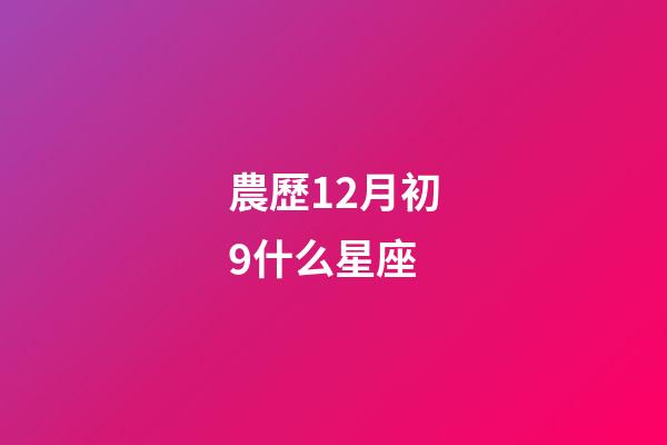 農歷12月初9什么星座-第1張-星座運勢-玄機派