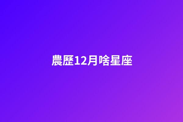 農歷12月啥星座-第1張-星座運勢-玄機派