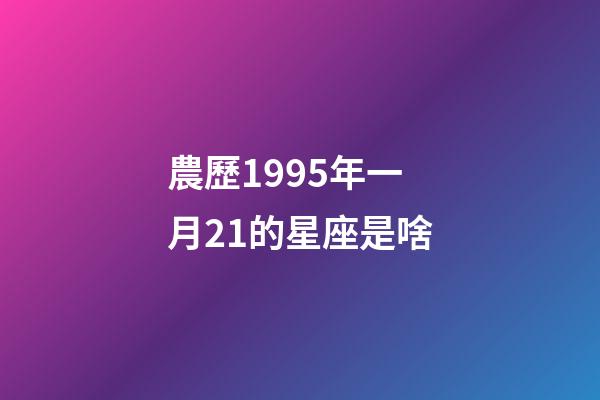 農歷1995年一月21的星座是啥-第1張-星座運勢-玄機派