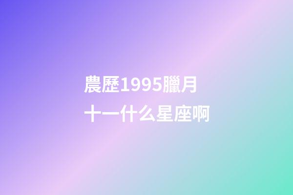 農歷1995臘月十一什么星座啊-第1張-星座運勢-玄機派