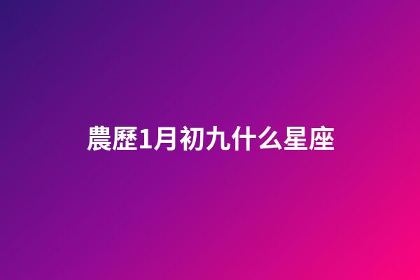 農歷1月初九什么星座-第1張-星座運勢-玄機派