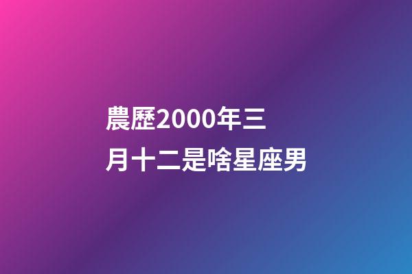 農歷2000年三月十二是啥星座男-第1張-星座運勢-玄機派