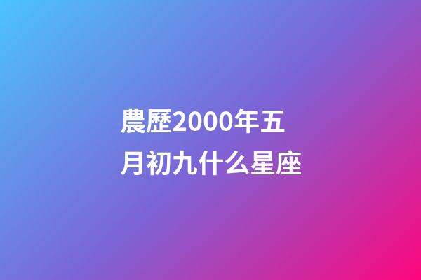 農歷2000年五月初九什么星座-第1張-星座運勢-玄機派