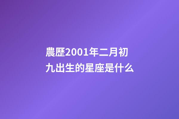 農歷2001年二月初九出生的星座是什么-第1張-星座運勢-玄機派