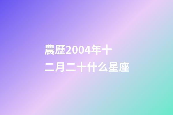 農歷2004年十二月二十什么星座-第1張-星座運勢-玄機派
