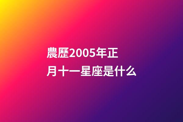 農歷2005年正月十一星座是什么-第1張-星座運勢-玄機派