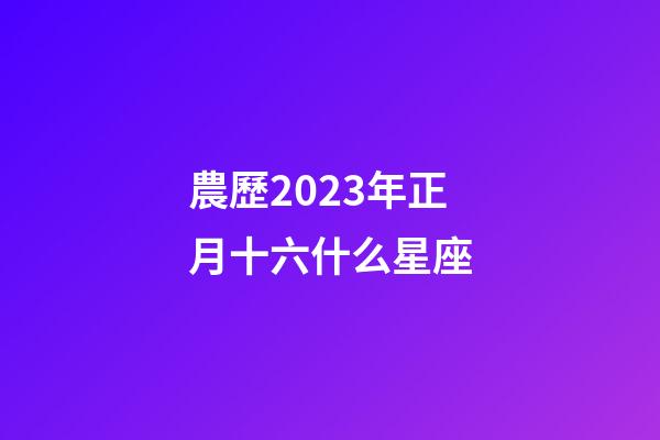 農歷2023年正月十六什么星座-第1張-星座運勢-玄機派