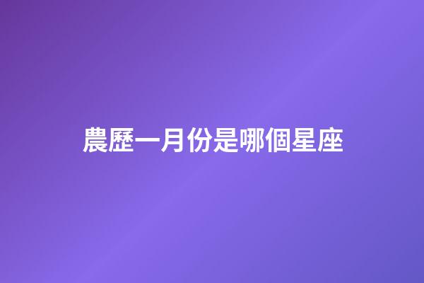 農歷一月份是哪個星座-第1張-星座運勢-玄機派