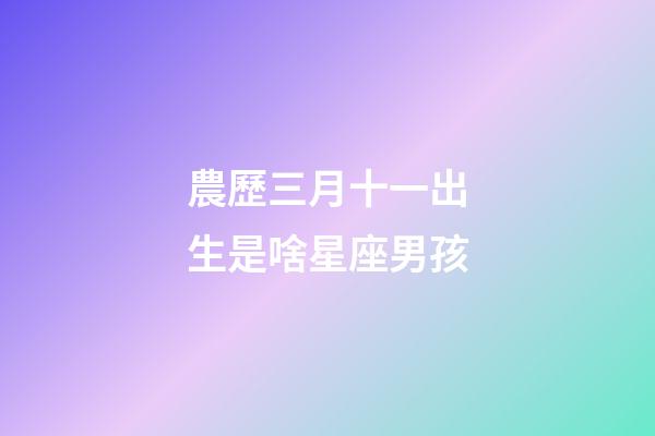 農歷三月十一出生是啥星座男孩-第1張-星座運勢-玄機派